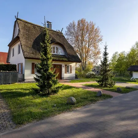 Reethaus Orchidee Σπίτι διακοπών Glowe